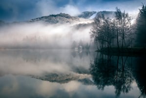 mist on a lake